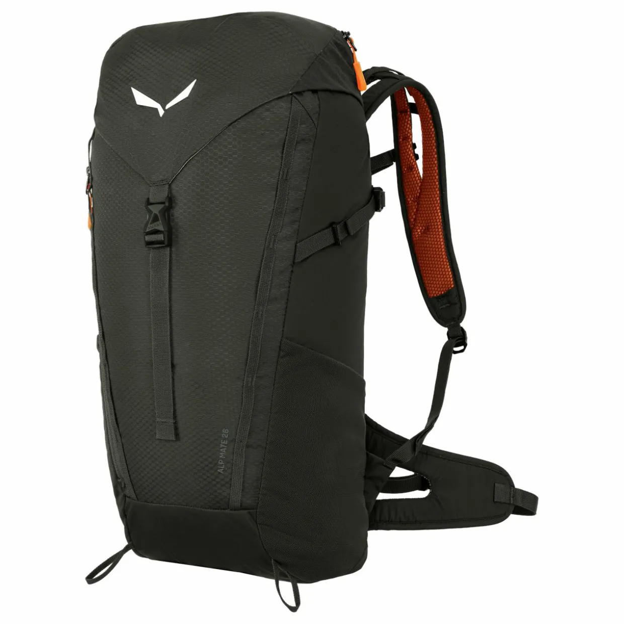 Alp Mate 26L Rucksack