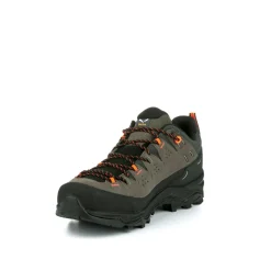 Alp Trainer 2 Gore-Tex® Schuh Herren