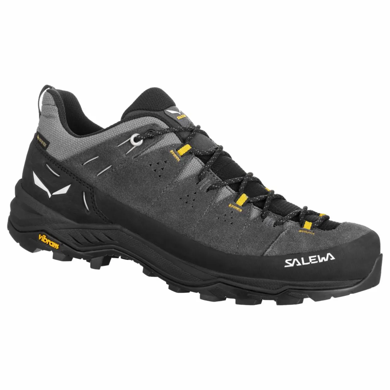 Alp Trainer 2 Gore-Tex® Schuh Herren