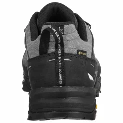 Alp Trainer 2 Gore-Tex® Schuh Herren