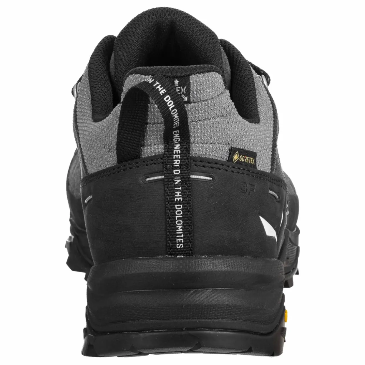 Alp Trainer 2 Gore-Tex® Schuh Herren