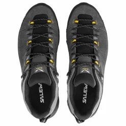 Alp Trainer 2 Gore-Tex® Schuh Herren