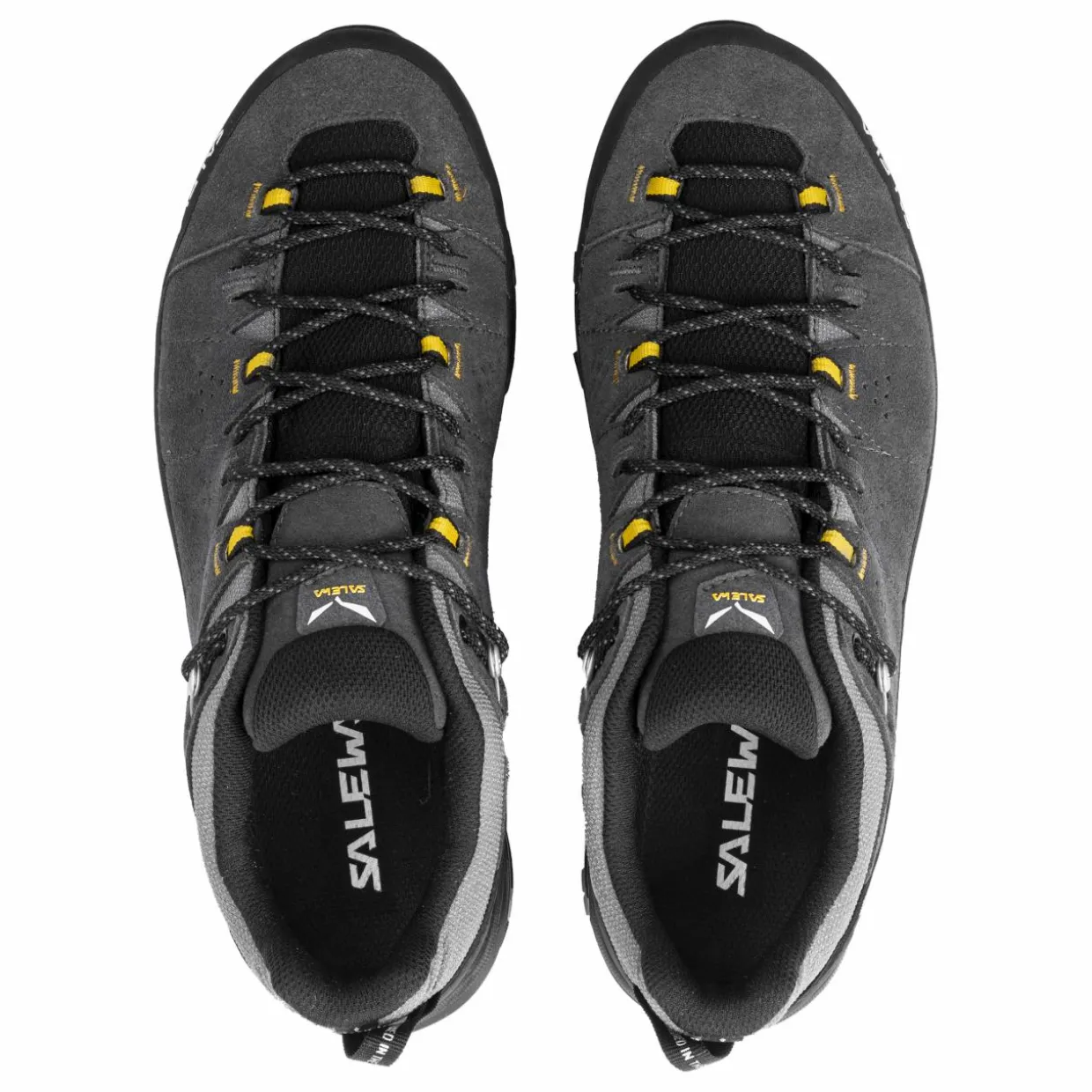 Alp Trainer 2 Gore-Tex® Schuh Herren