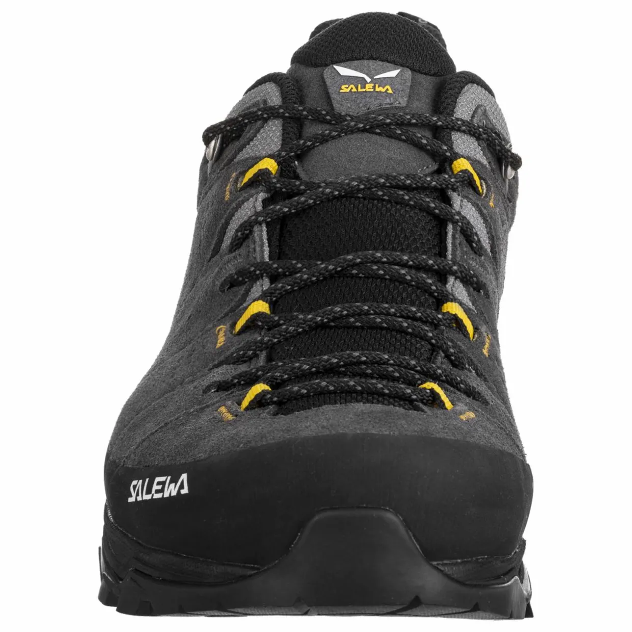 Alp Trainer 2 Gore-Tex® Schuh Herren