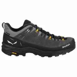 Alp Trainer 2 Gore-Tex® Schuh Herren