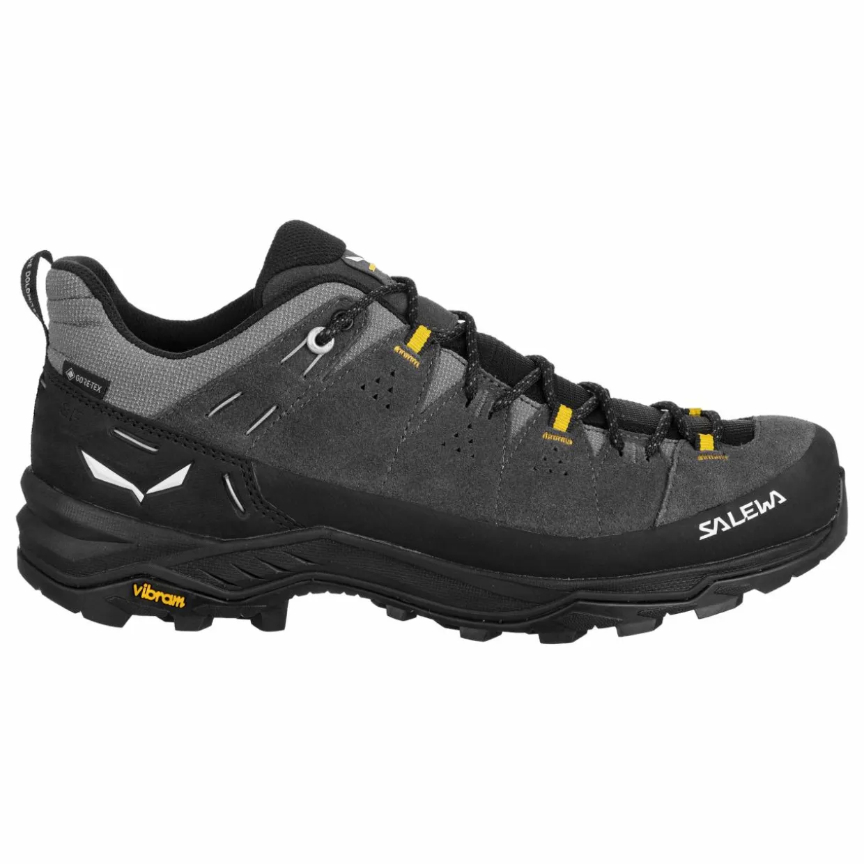 Alp Trainer 2 Gore-Tex® Schuh Herren