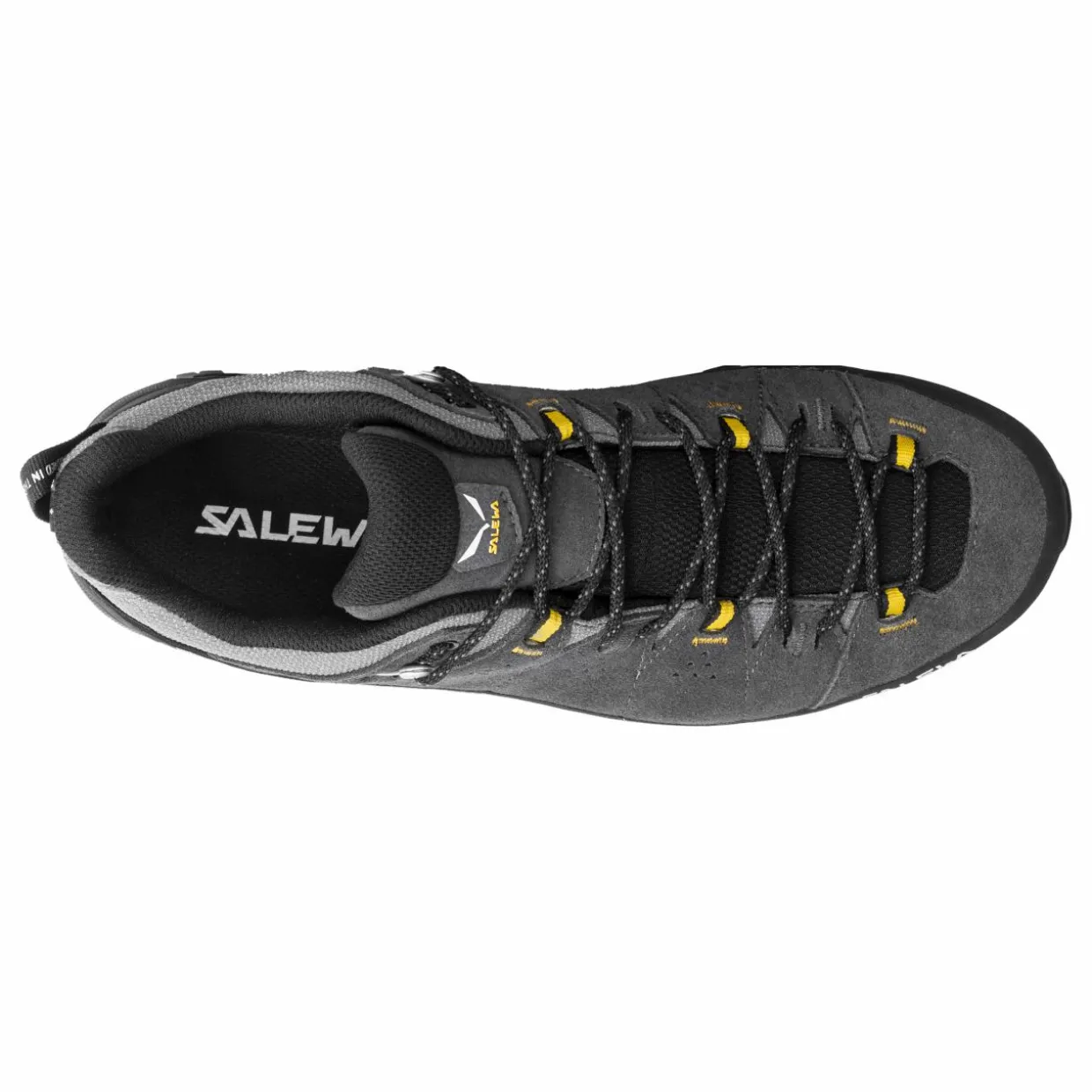 Alp Trainer 2 Gore-Tex® Schuh Herren