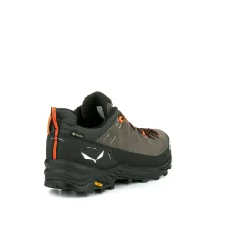 Alp Trainer 2 Gore-Tex® Schuh Herren