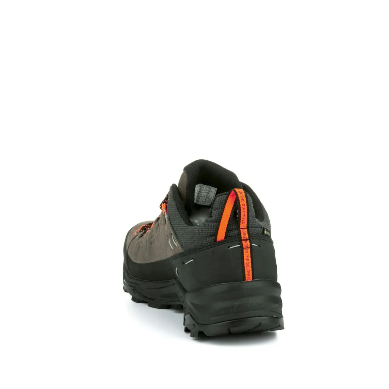 Alp Trainer 2 Gore-Tex® Schuh Herren