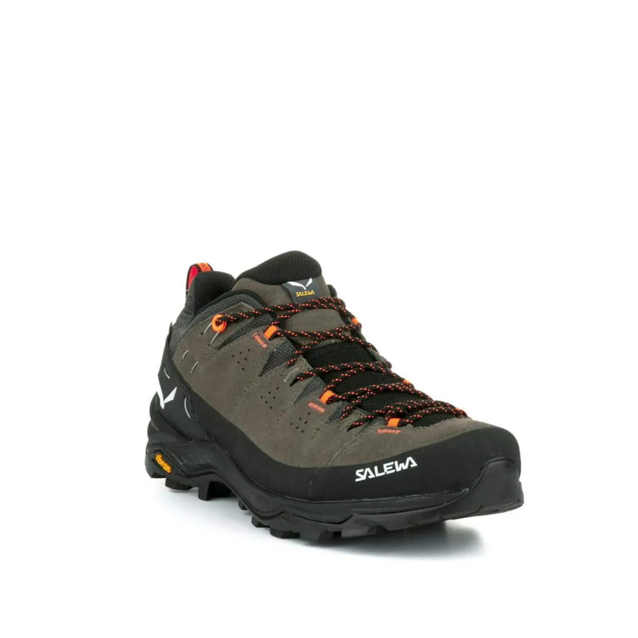 Alp Trainer 2 Gore-Tex® Schuh Herren