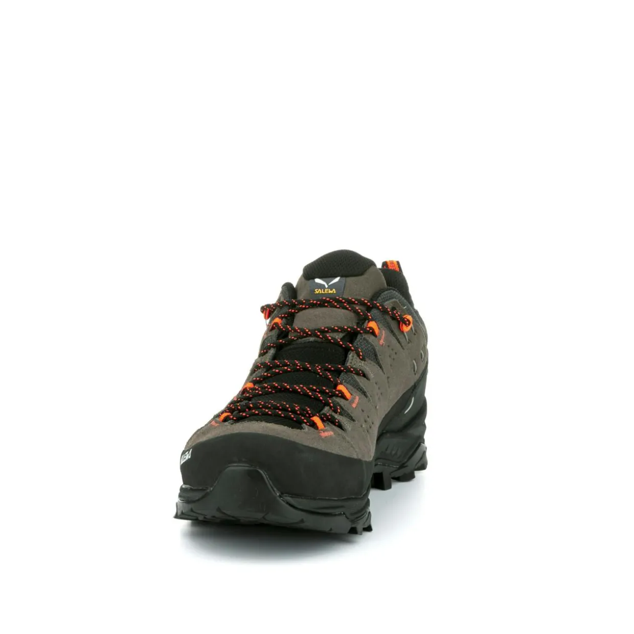 Alp Trainer 2 Gore-Tex® Schuh Herren
