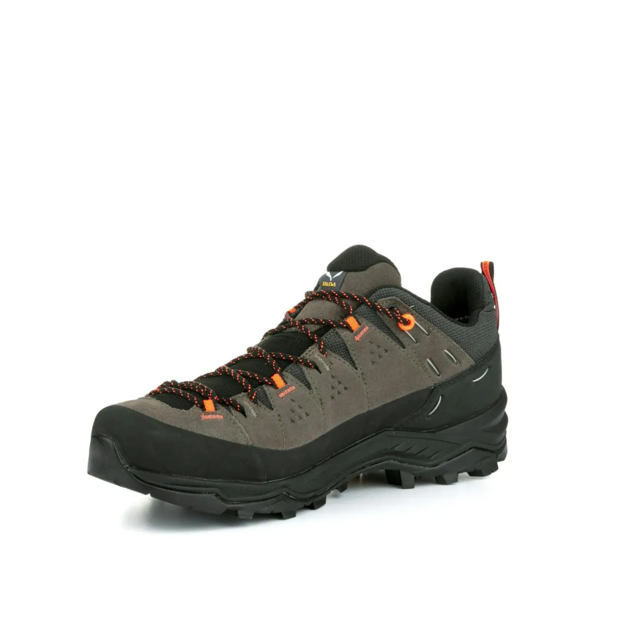 Alp Trainer 2 Gore-Tex® Schuh Herren