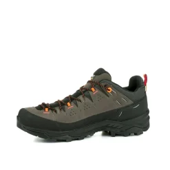 Alp Trainer 2 Gore-Tex® Schuh Herren