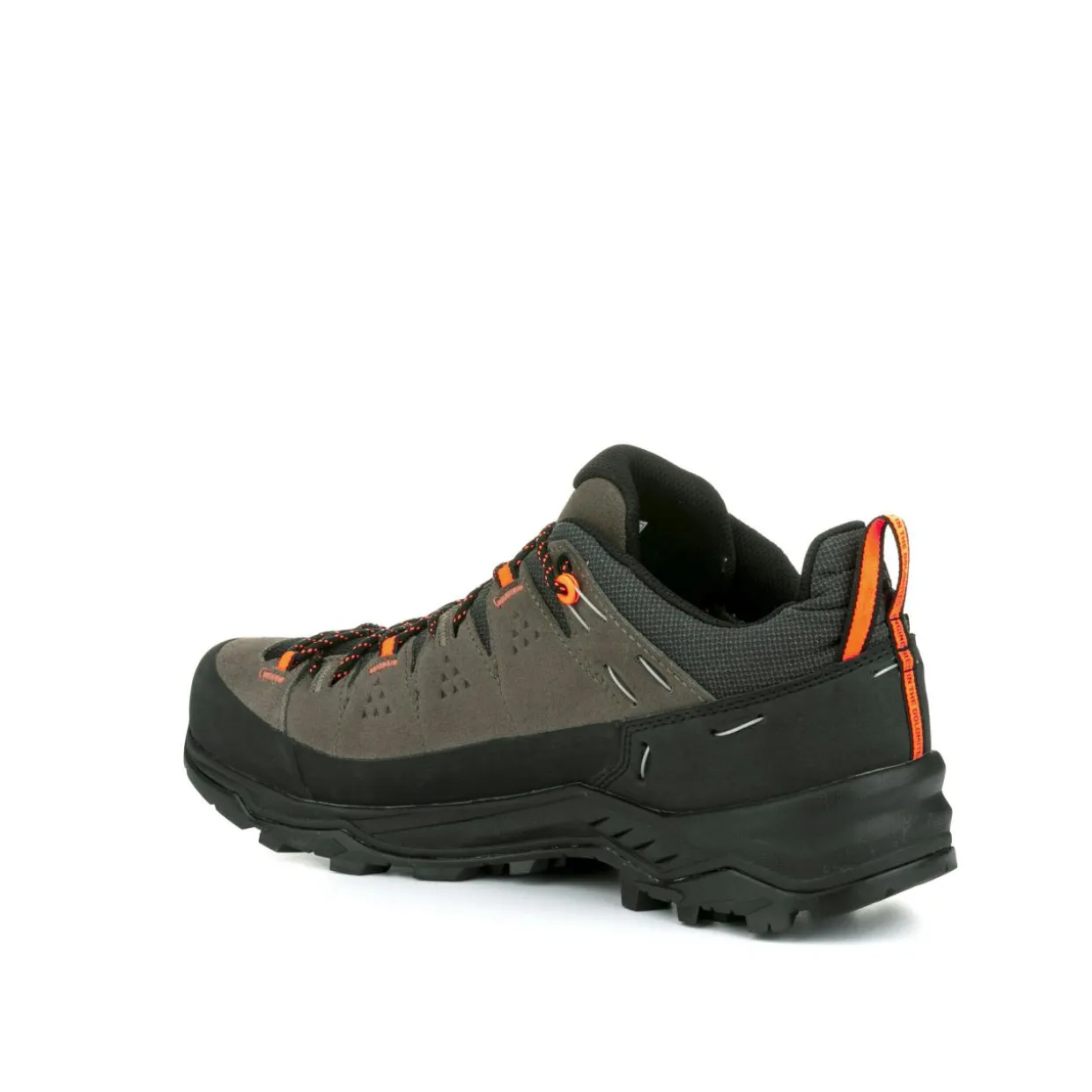 Alp Trainer 2 Gore-Tex® Schuh Herren