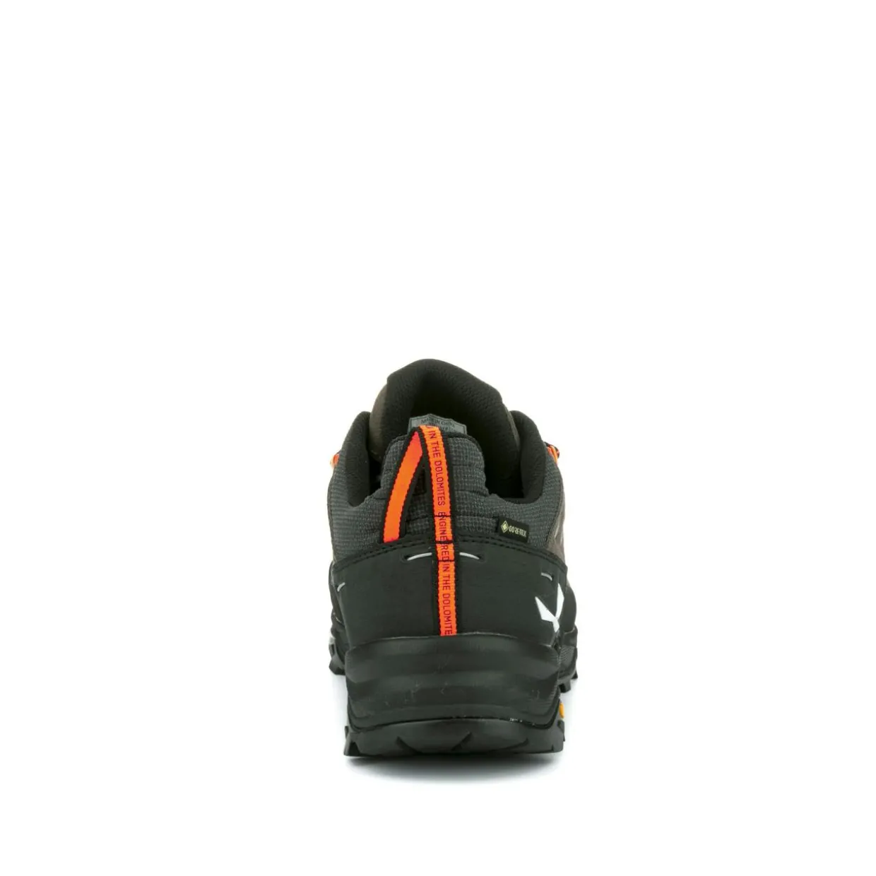 Alp Trainer 2 Gore-Tex® Schuh Herren