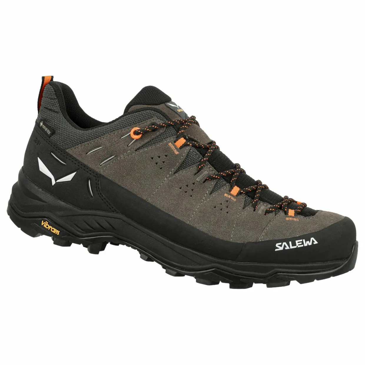 Alp Trainer 2 Gore-Tex® Schuh Herren