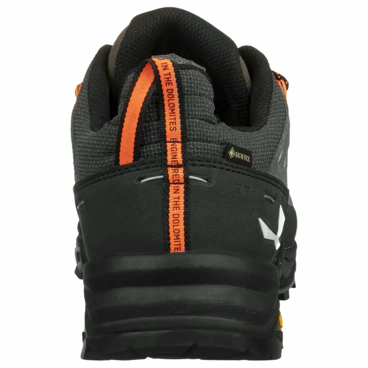Alp Trainer 2 Gore-Tex® Schuh Herren