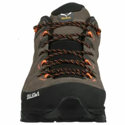 Alp Trainer 2 Gore-Tex® Schuh Herren