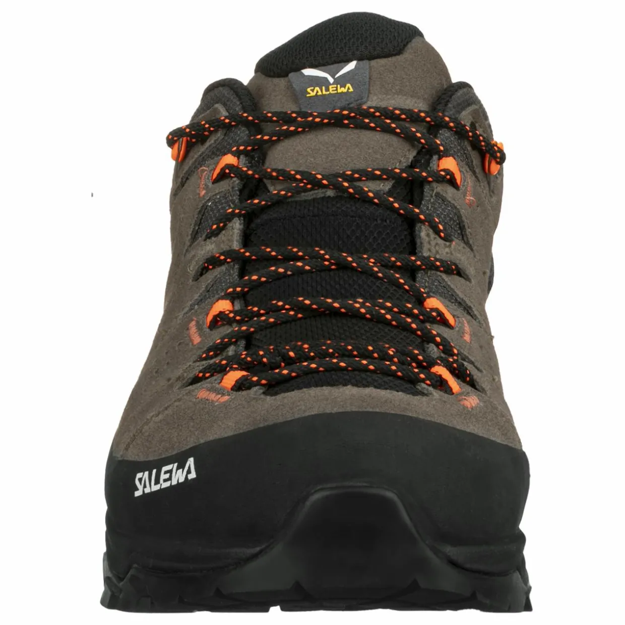 Alp Trainer 2 Gore-Tex® Schuh Herren