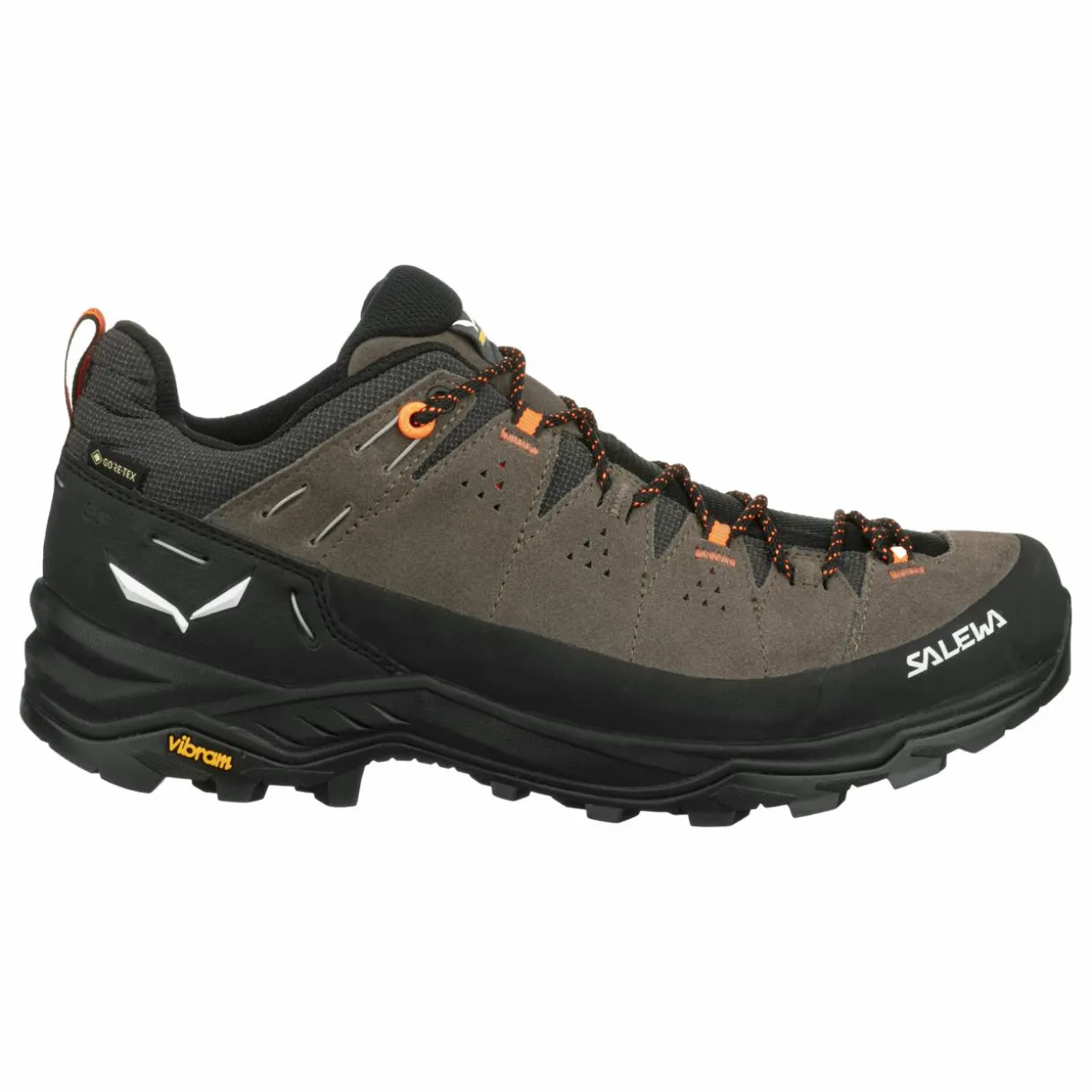 Alp Trainer 2 Gore-Tex® Schuh Herren