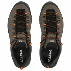 Alp Trainer 2 Gore-Tex® Schuh Herren