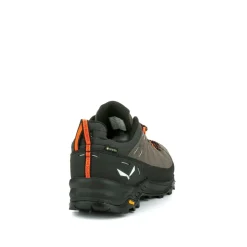 Alp Trainer 2 Gore-Tex® Schuh Herren