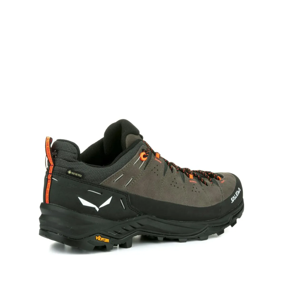 Alp Trainer 2 Gore-Tex® Schuh Herren