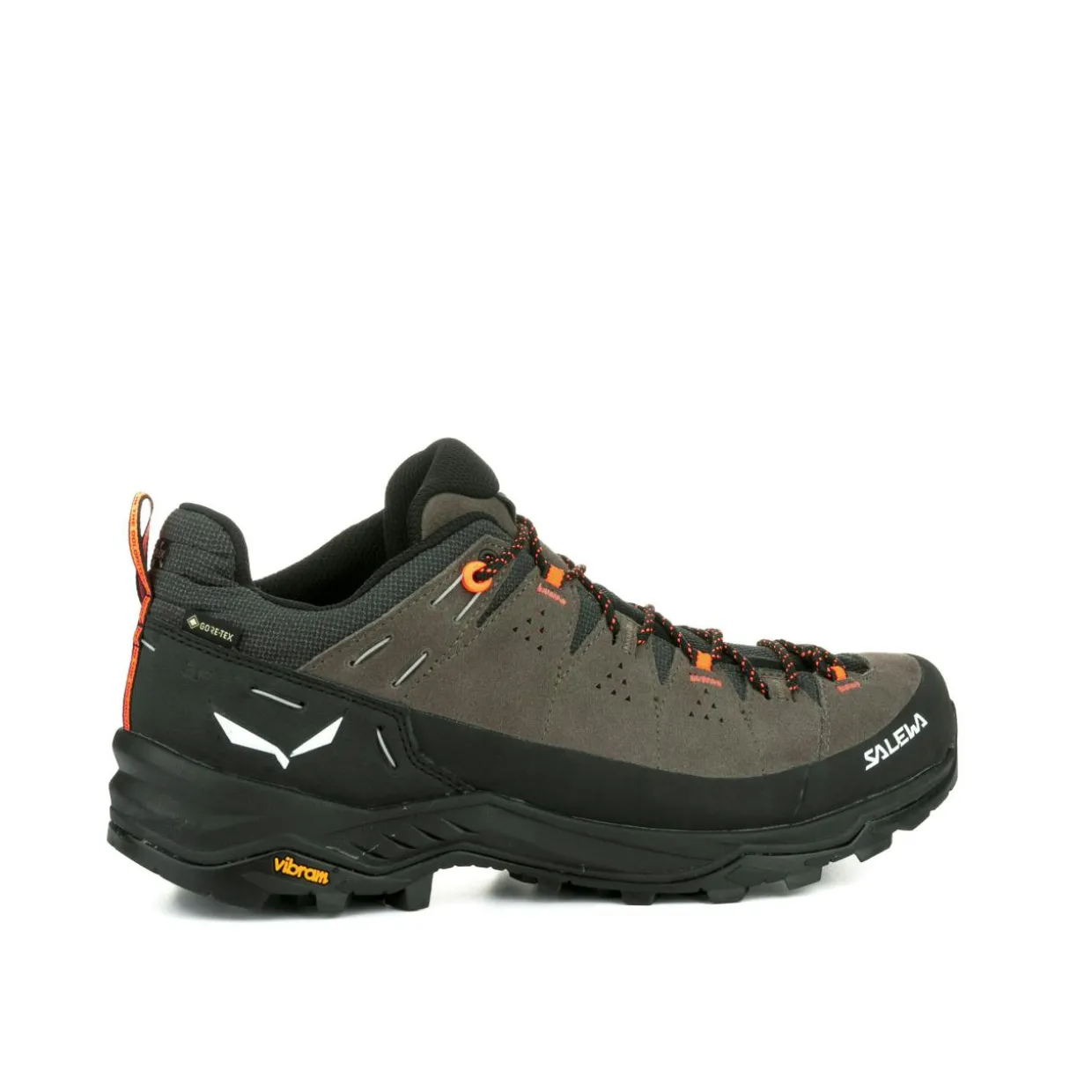 Alp Trainer 2 Gore-Tex® Schuh Herren