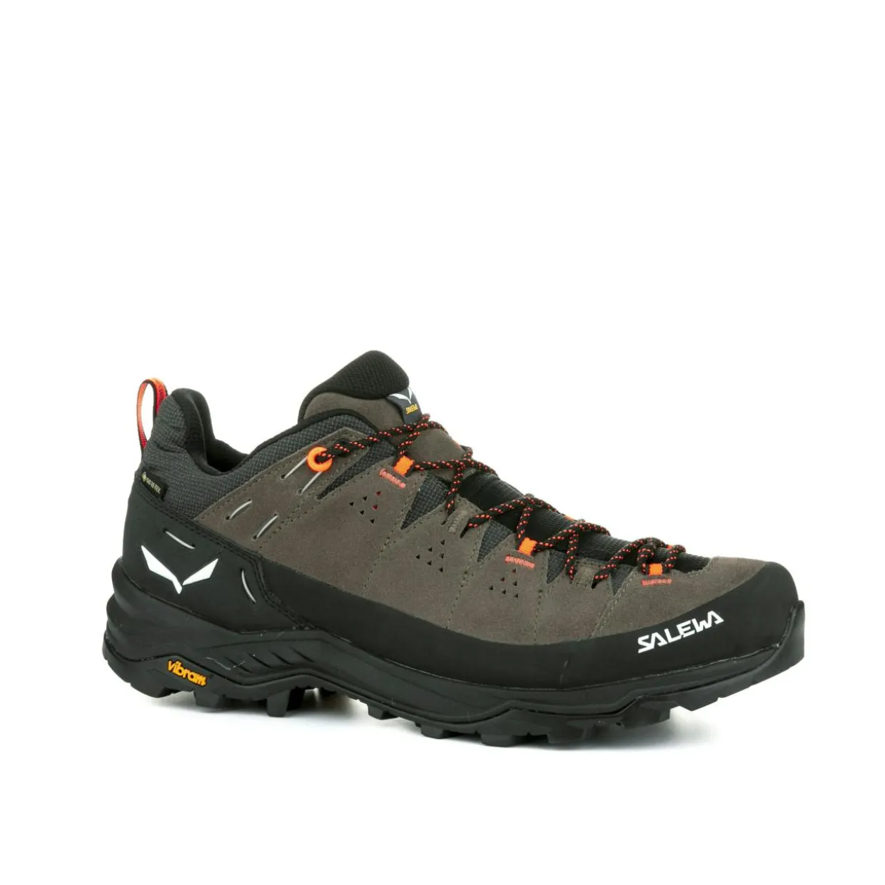 Alp Trainer 2 Gore-Tex® Schuh Herren