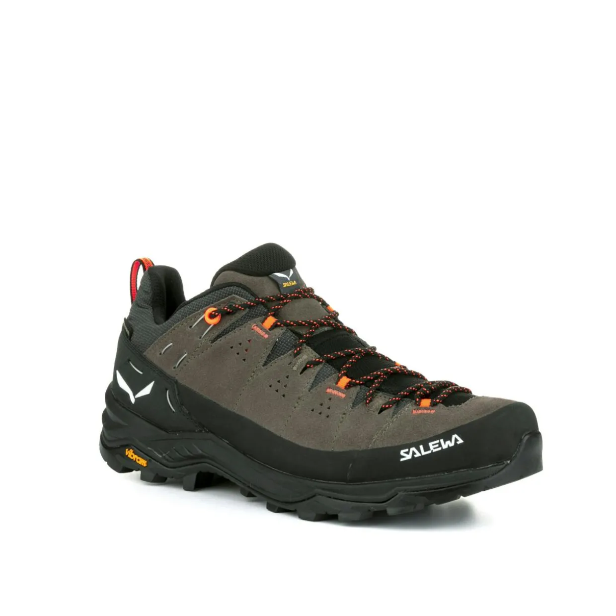 Alp Trainer 2 Gore-Tex® Schuh Herren