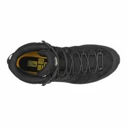 Alp Trainer 2 Mid GORE-TEX® Herren Schuh