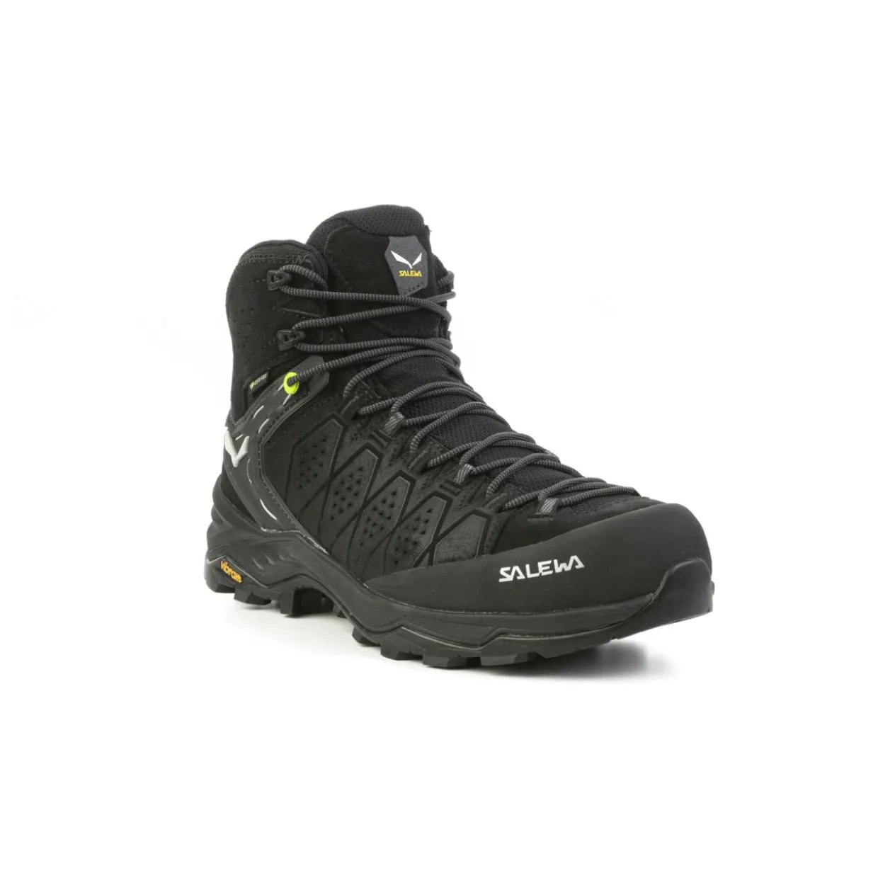 Alp Trainer 2 Mid GORE-TEX® Herren Schuh