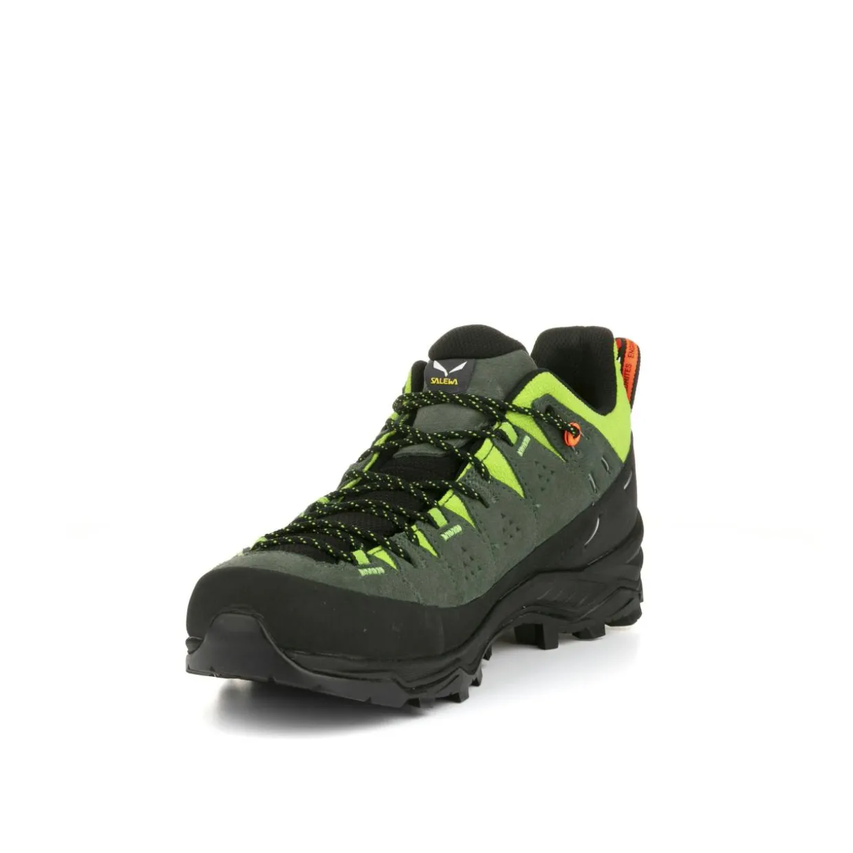 Alp Trainer 2 Schuh Herren