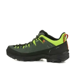 Alp Trainer 2 Schuh Herren