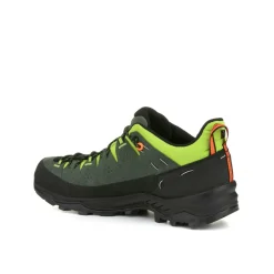Alp Trainer 2 Schuh Herren