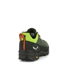 Alp Trainer 2 Schuh Herren