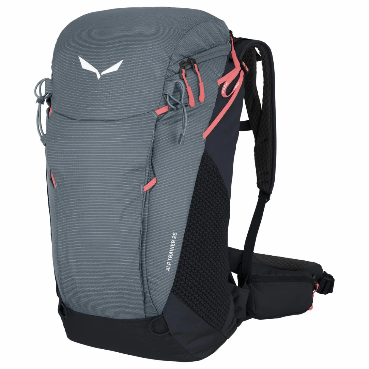 Alp Trainer 25L Rucksack