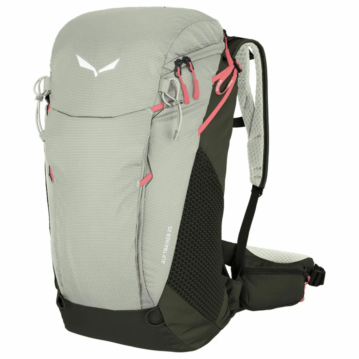 Alp Trainer 25L Rucksack