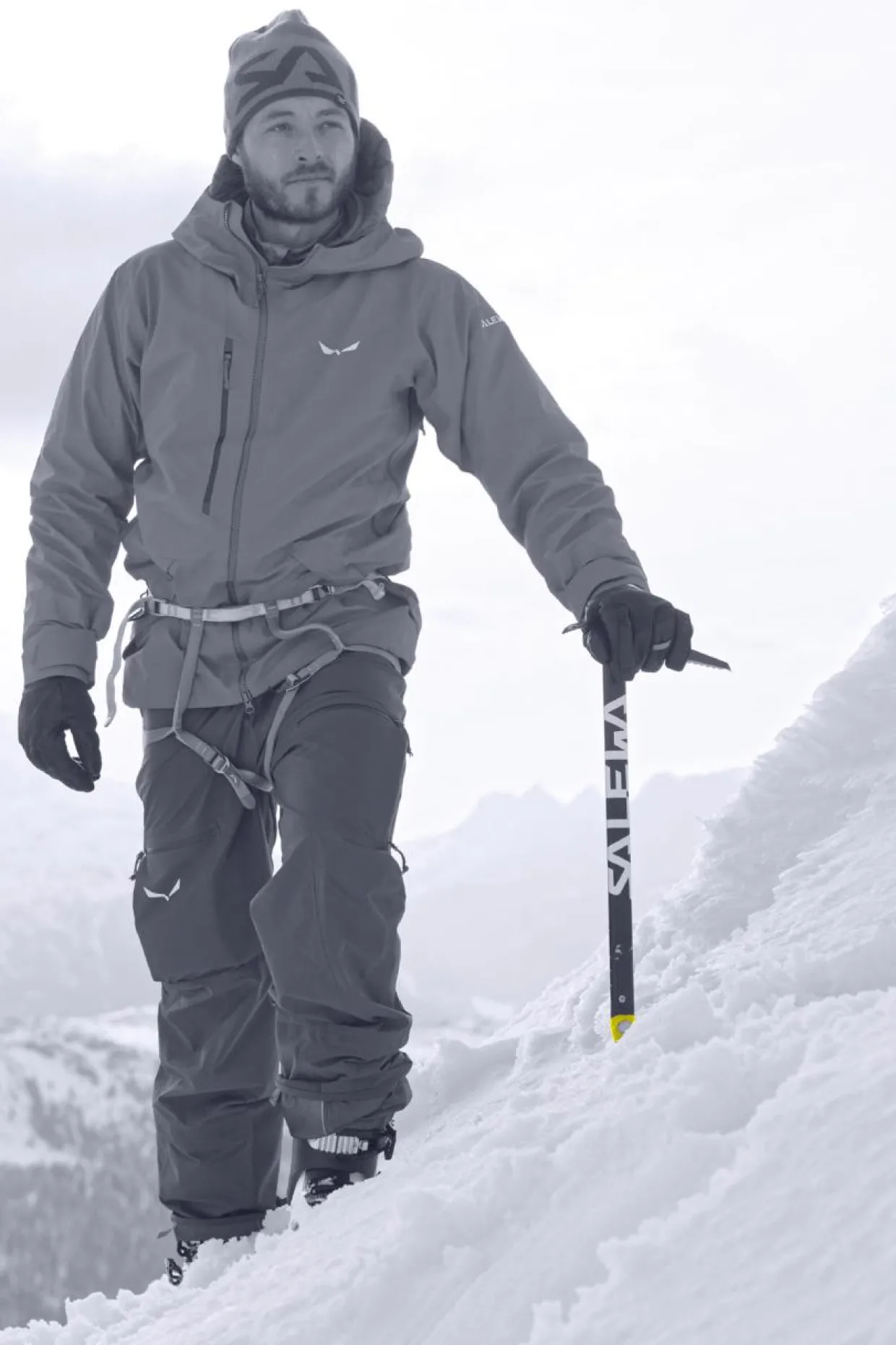 Alpine-X Eispickel