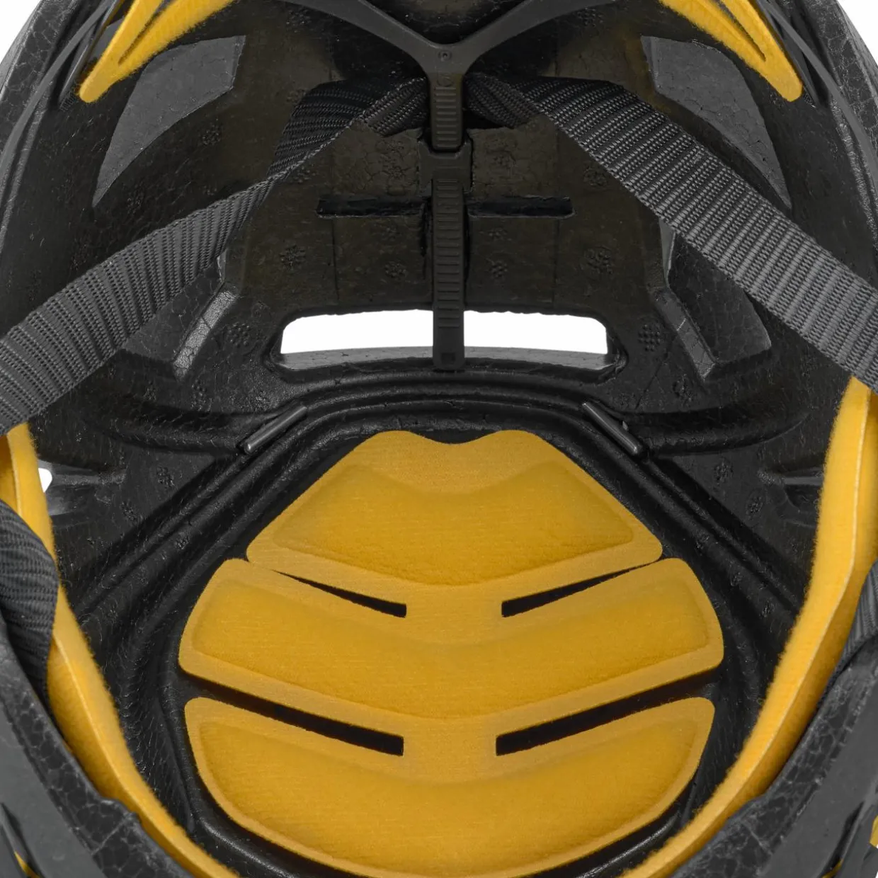 Aria Helm
