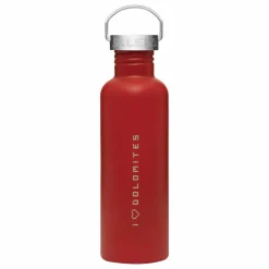 AURINO 1,0L EDELSTAHL FLASCHE