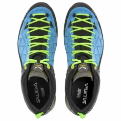 Mountain Trainer 2 GORE-TEX® Herrenschuhe