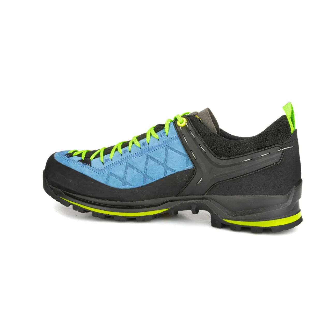 Mountain Trainer 2 GORE-TEX® Herrenschuhe