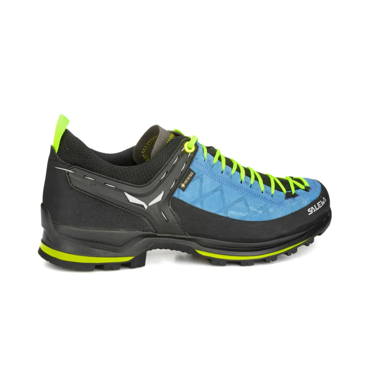 Mountain Trainer 2 GORE-TEX® Herrenschuhe