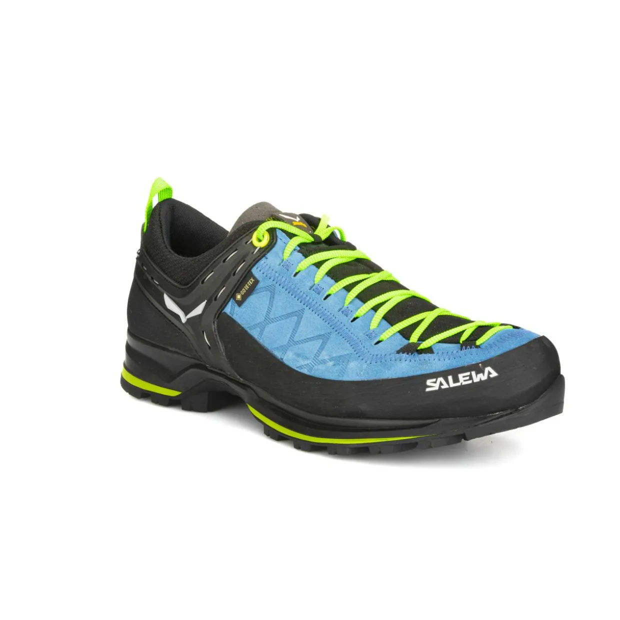 Mountain Trainer 2 GORE-TEX® Herrenschuhe
