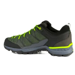 Mountain Trainer Lite GORE-TEX® Herrenschuhe