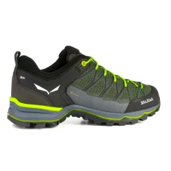 Mountain Trainer Lite GORE-TEX® Herrenschuhe