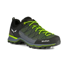 Mountain Trainer Lite GORE-TEX® Herrenschuhe