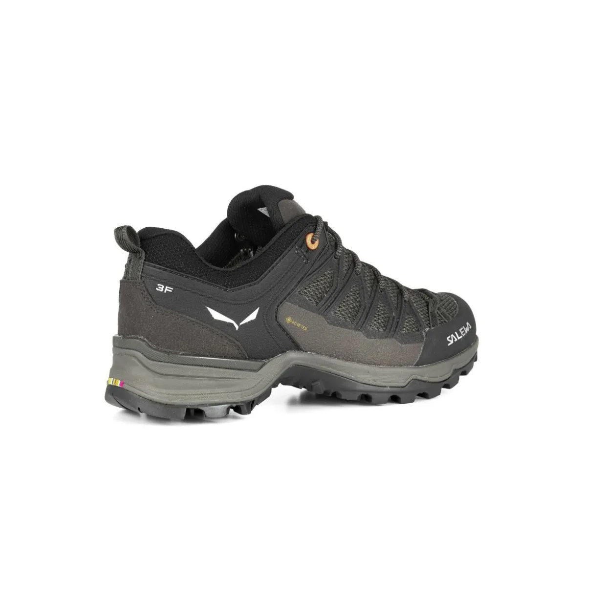Mountain Trainer Lite GORE-TEX® Damenschuhe