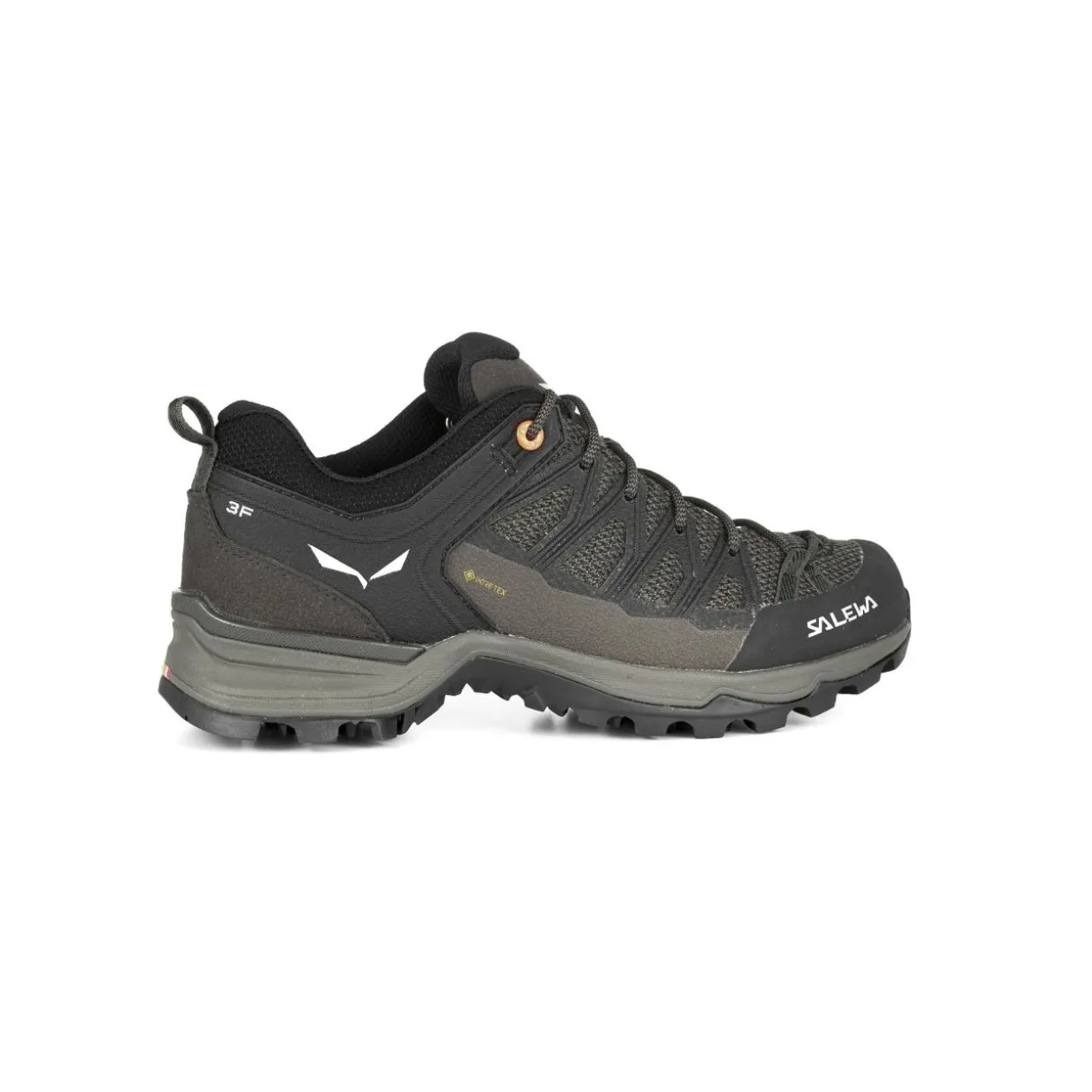 Mountain Trainer Lite GORE-TEX® Damenschuhe